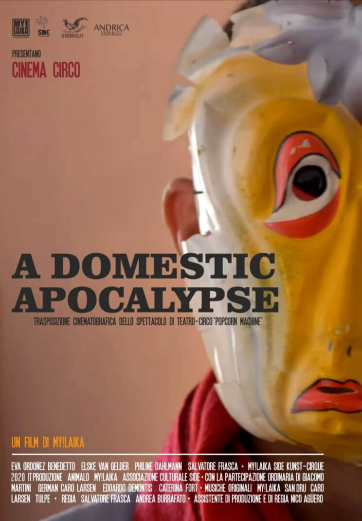 A Domestic Apocalypse film